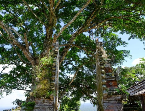 Trekking Sidemen - Sangkan Gunung Temple Circular Walk - Villa Uma Dewi Sri