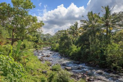 The river in Sidemen winding through the pristine jungle in Bali is one of the things to do in Sidemen