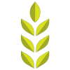 Favicon_UDS